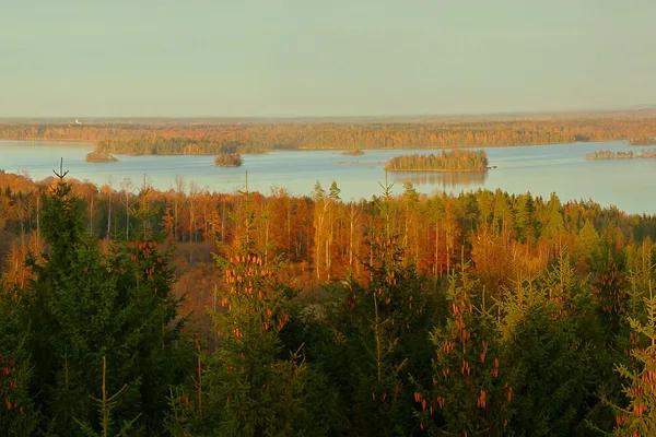 Höstvy över sjön Åsnen med öar och blandskog i gyllene ljus