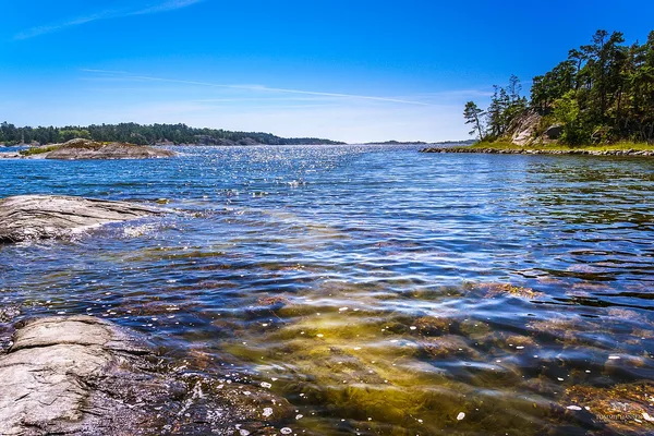 Kristallklart havsvatten vid hällar och skärgårdsöar med barrskog