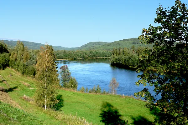 Klarälven med gröna ängar, björkar och skogsklädda kullar