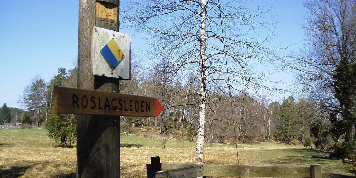 Vägvisarskylt för Roslagsleden vid stig genom öppen blandskog
