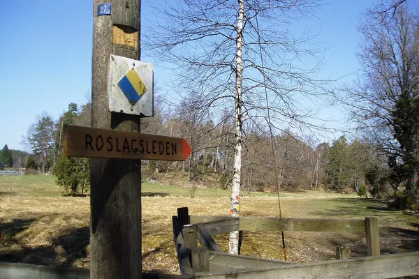Stolpe med Roslagsledens skylt och ledmarkering vid björkallé