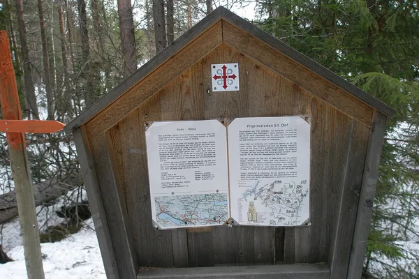 Vy över Fjällandskap på sträckan genom Jämtland/Härjedalen