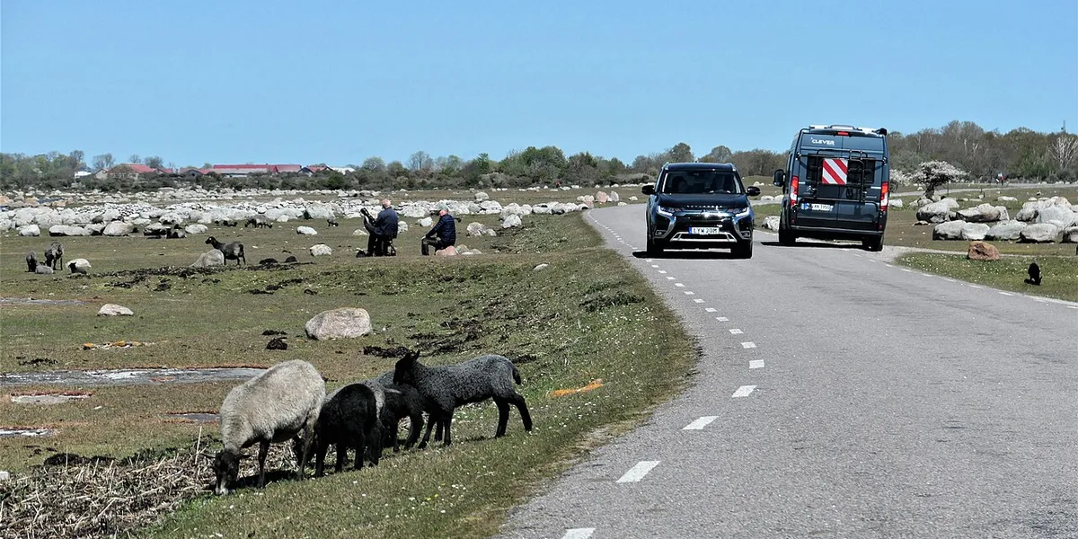 Sverigeleden 30H: Oppeby-Vimmerby-Kristdala