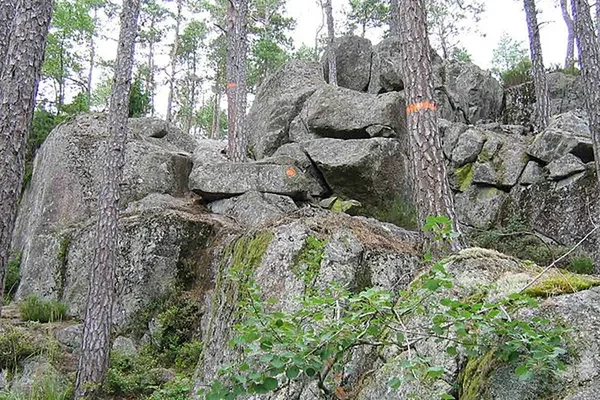 Stora klippblock bland tallar i Tivedens vildmark