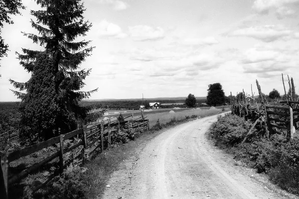 Svartvit bild av slingrande grusväg med gärdesgård i Småland