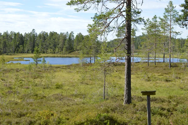 Myrmark med tjärn och gles tallskog, informationsskylt